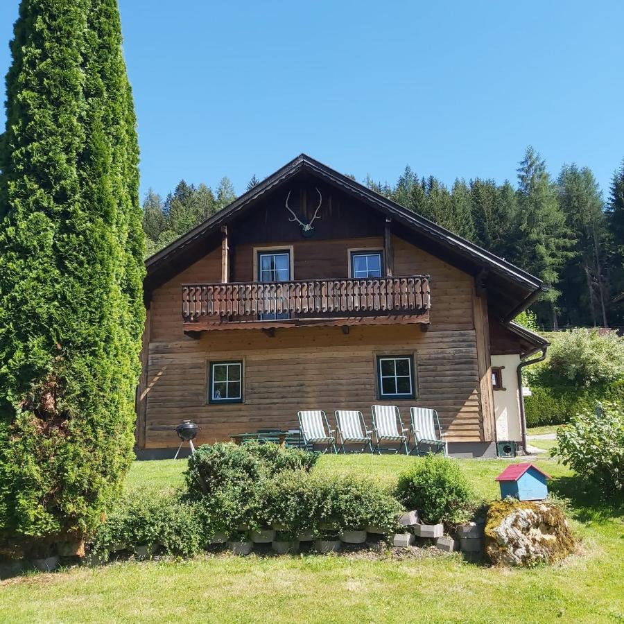 Villa Haus Sonnenalm à Forstau  Extérieur photo